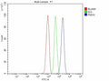 Flow Cytometry analysis of HepG2 cells using anti-PMVK antibody. Overlay histogram showing HepG2 cells stained with (Blue line). To facilitate intracellular staining, cells were fixed with 4% paraformaldehyde and permeabilized with permeabilization buffer. The cells were blocked with 10% normal goat serum. And then incubated with rabbit anti-PMVK antibody (1 ug/million cells) for 30 min at 20oC.