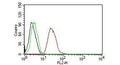 FACS testing of human MCF-7 cells with Estrogen Receptor beta antibody (PE conjugate): Black=cells alone; Green=isotype control; Red=Estrogen Receptor beta antibody