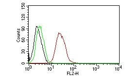 FACS testing of human MCF-7 cells with Estrogen Receptor beta antibody (PE conjugate): Black=cells alone; Green=isotype control; Red=Estrogen Receptor beta antibody