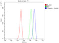 Flow Cytometry analysis of HEL cells using anti-CTNNBL1 antibody. Overlay histogram showing HEL cells stained with (Blue line). To facilitate intracellular staining, cells were fixed with 4% paraformaldehyde and permeabilized with permeabilization buffer. The cells were blocked with 10% normal goat serum. And then incubated with rabbit anti-CTNNBL1 antibody (1 ug/million cells) for 30 min at 20oC.
