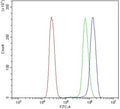 Flow cytometry testing of human U937 cells with DLG4 antibody at 1ug/million cells (blocked with goat sera); Red=cells alone, Green=isotype control, Blue= DLG4 antibody.