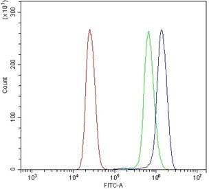 Flow cytometry testing of human U937 cells with DLG4 antibody at 1ug/million cells (blocked with goat sera); Red=cells alone, Green=isotype control, Blue= DLG4 antibody.