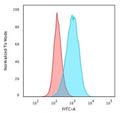 Flow cytometry staining of PFA-fixed human Raji cells with CD45RB antibody (clone BRA-11); Red=isotype control, Blue= CD45RB antibody.