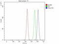 Flow Cytometry analysis of cells using anti-PHACTR1 antibody. Overlay histogram showing cells stained with (Blue line). To facilitate intracellular staining, cells were fixed with 4% paraformaldehyde and permeabilized with permeabilization buffer. The cells were blocked with 10% normal goat serum. And then incubated with rabbit anti-PHACTR1 antibody (1 ug/million cells) for 30 min at 20oC. DyLight 488 conjugated goat anti-rabbit IgG (5-10 ug/million cells) was used as secondary antibody for 30 min at 20oC.