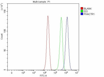 Flow Cytometry analysis of cells using anti-PHACTR1 antibody. Overlay histogram showing cells stained with (Blue line). To facilitate intracellular staining, cells were fixed with 4% paraformaldehyde and permeabilized with permeabilization buffer. The cells were blocked with 10% normal goat serum. And then incubated with rabbit anti-PHACTR1 antibody (1 ug/million cells) for 30 min at 20oC. DyLight 488 conjugated goat anti-rabbit IgG (5-10 ug/million cells) was used as secondary antibody for 30 min at 20oC.