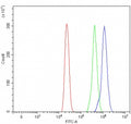 Flow cytometry testing of human HL60 cells with 4E-T antibody at 1ug/million cells (blocked with goat sera); Red=cells alone, Green=isotype control, Blue= 4E-T antibody.