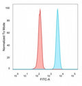 Flow cytometry testing of PFA-fixed human HeLa cells with CEBPZ antibody (clone PCRP-CEBPZ-2D8) followed by goat anti-mouse IgG-CF488 (blue); Red = unstained cells.