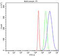 Flow cytometry testing of fixed and permeabilized human HepG2 cells with UBE2Q2 antibody at 1ug/million cells (blocked with goat sera); Red=cells alone, Green=isotype control, Blue= UBE2Q2 antibody.