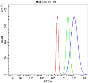 Flow cytometry testing of fixed and permeabilized human HepG2 cells with UBE2Q2 antibody at 1ug/million cells (blocked with goat sera); Red=cells alone, Green=isotype control, Blue= UBE2Q2 antibody.