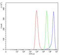 Flow cytometry testing of fixed and permeabilized human HEL cells with ADRA2A antibody at 1ug/million cells (blocked with goat sera); Red=cells alone, Green=isotype control, Blue= ADRA2A antibody.
