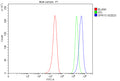 Flow Cytometry analysis of human MCF-7 cells using anti-SPRY3 antibody. Overlay histogram showing MCF-7 cells stained with (Blue line). To facilitate intracellular staining, cells were fixed with 4% paraformaldehyde and permeabilized with permeabilization buffer. The cells were blocked with 10% normal goat serum. And then incubated with rabbit anti-SPRY3 antibody (1 ug/million cells) for 30 min at 20oC.