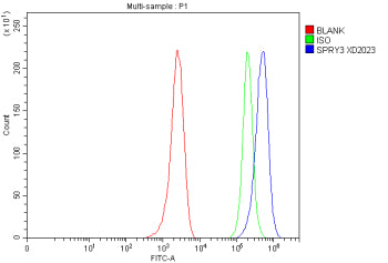 Flow Cytometry analysis of human MCF-7 cells using anti-SPRY3 antibody. Overlay histogram showing MCF-7 cells stained with (Blue line). To facilitate intracellular staining, cells were fixed with 4% paraformaldehyde and permeabilized with permeabilization buffer. The cells were blocked with 10% normal goat serum. And then incubated with rabbit anti-SPRY3 antibody (1 ug/million cells) for 30 min at 20oC.