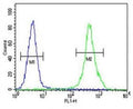 ZEB2 antibody flow cytometric analysis of MDA-MB435 cells (right histogram) compared to a negative control (left histogram). FITC-conjugated goat-anti-rabbit secondary Ab was used for the analysis.