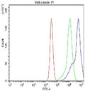 Flow cytometry testing of fixed and permeabilized human Raji cells with IKKa antibody at 1ug/million cells (blocked with goat sera); Red=cells alone, Green=isotype control, Blue= IKKa antibody.
