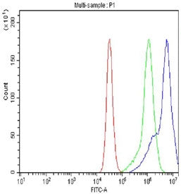 Flow cytometry testing of fixed and permeabilized human Raji cells with IKKa antibody at 1ug/million cells (blocked with goat sera); Red=cells alone, Green=isotype control, Blue= IKKa antibody.