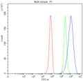 Western blot testing of DPYD antibody and human MDA-MB-231 cell lysate. Predicted molecular weight ~111 kDa.