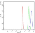 Flow cytometry testing of human K562 cells with DNA Ligase 3 antibody at 1ug/million cells (blocked with goat sera); Red=cells alone, Green=isotype control, Blue= DNA Ligase III antibody.