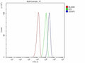 Flow Cytometry analysis of SH-SY5Y cells using anti-GKAP1 antibody. Overlay histogram showing SH-SY5Y cells stained with (Blue line). To facilitate intracellular staining, cells were fixed with 4% paraformaldehyde and permeabilized with permeabilization buffer. The cells were blocked with 10% normal goat serum. And then incubated with rabbit anti-GKAP1 antibody (1 ug/million cells) for 30 min at 20oC.