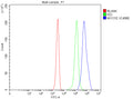 Flow Cytometry analysis of Jurkat cells using anti-MYO1E antibody. Overlay histogram showing Jurkat cells stained with (Blue line). To facilitate intracellular staining, cells were fixed with 4% paraformaldehyde and permeabilized with permeabilization buffer. The cells were blocked with 10% normal goat serum. And then incubated with rabbit anti-MYO1E antibody (1 ug/million cells) for 30 min at 20oC.
