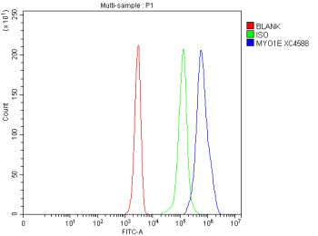 Flow Cytometry analysis of Jurkat cells using anti-MYO1E antibody. Overlay histogram showing Jurkat cells stained with (Blue line). To facilitate intracellular staining, cells were fixed with 4% paraformaldehyde and permeabilized with permeabilization buffer. The cells were blocked with 10% normal goat serum. And then incubated with rabbit anti-MYO1E antibody (1 ug/million cells) for 30 min at 20oC.