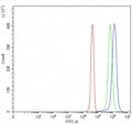 Flow cytometry testing of fixed and permeabilized human JK cells with PSMF1 antibody at 1ug/million cells (blocked with goat sera); Red=cells alone, Green=isotype control, Blue= PSMF1 antibody.