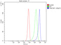 Flow Cytometry analysis of HepG2 cells using anti-TRAF3IP1 antibody. Overlay histogram showing HepG2 cells stained with (Blue line). To facilitate intracellular staining, cells were fixed with 4% paraformaldehyde and permeabilized with permeabilization buffer. The cells were blocked with 10% normal goat serum. And then incubated with rabbit anti-TRAF3IP1 antibody (1 ug/million cells) for 30 min at 20oC.