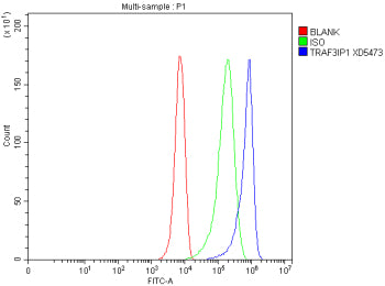 Flow Cytometry analysis of HepG2 cells using anti-TRAF3IP1 antibody. Overlay histogram showing HepG2 cells stained with (Blue line). To facilitate intracellular staining, cells were fixed with 4% paraformaldehyde and permeabilized with permeabilization buffer. The cells were blocked with 10% normal goat serum. And then incubated with rabbit anti-TRAF3IP1 antibody (1 ug/million cells) for 30 min at 20oC.