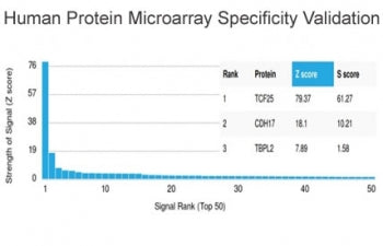 Analysis of HuProt(TM) microarray containing more than 19,000 full-length human proteins using BRCA-1 antibody (clone BRCA1/2973). These results demonstrate the foremost specificity of the BRCA1/2973 mAb. Z- and S- Score: The Z-score represents the strength of a signal that a monoclonal antibody (clone MAb) (in combination with a fluorescently-tagged anti-IgG secondary antibody) produces when binding to a particular protein on the HuProt(TM) array.