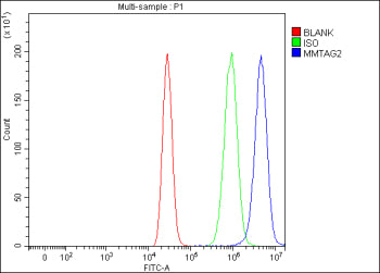 Flow Cytometry analysis of MCF-7 cells using anti-MMTAG2 antibody. Overlay histogram showing MCF-7 cells stained with (Blue line). The cells were fixed with 4% paraformaldehyde and blocked with 10% normal goat serum. And then incubated with rabbit anti-MMTAG2 antibody (1 ug/million cells) for 30 min at 20oC. DyLight 488 conjugated goat anti-rabbit IgG (5-10 ug/million cells) was used as secondary antibody for 30 min at 20oC.