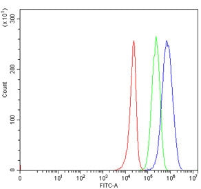 Flow cytometry testing of human 293T cells with TRIT1 antibody at 1ug/million cells (blocked with goat sera); Red=cells alone, Green=isotype control, Blue= TRIT1 antibody.
