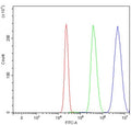 Flow cytometry testing of human HepG2 cells with PPAR alpha antibody at 1ug/million cells (blocked with goat sera); Red=cells alone, Green=isotype control, Blue= PPAR alpha antibody.
