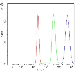 Flow cytometry testing of human HepG2 cells with PPAR alpha antibody at 1ug/million cells (blocked with goat sera); Red=cells alone, Green=isotype control, Blue= PPAR alpha antibody.