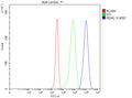 Flow Cytometry analysis of Jurkat cells using anti-REM2 antibody. Overlay histogram showing Jurkat cells stained with (Blue line). The cells were fixed with 4% paraformaldehyde and blocked with 10% normal goat serum. And then incubated with rabbit anti-REM2 antibody (1 ug/million cells) for 30 min at 20oC. DyLight 488 conjugated goat anti-rabbit IgG (5-10 ug/million cells) was used as secondary antibody for 30 min at 20oC.