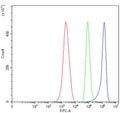 Flow cytometry testing of mouse ANA-1 cells with 4-1BBL antibody at 1ug/million cells (blocked with goat sera); Red=cells alone, Green=isotype control, Blue= 4-1BBL antibody.