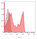 Flow cytometry staining of lymphocyte-gated human PBM cells with CD8 antibody (clone C8/1035); Gray=unstained, Red= CD8 antibody.