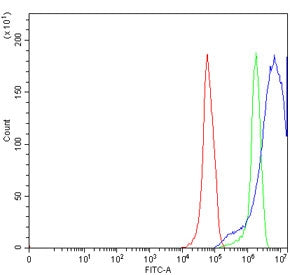 Flow cytometry testing of human RT4 cells with TRPV6 antibody at 1ug/million cells (blocked with goat sera); Red=cells alone, Green=isotype control, Blue= TRPV6 antibody.