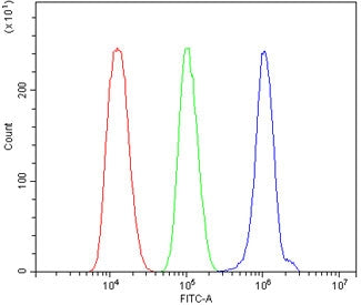 Flow cytometry testing of human ThP-1 cells with Toll-like Receptor 1 antibody at 1ug/million cells (blocked with goat sera); Red=cells alone, Green=isotype control, Blue= Toll-like Receptor 1 antibody.