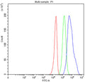 Flow cytometry testing of fixed human U-251 cells with MC2R antibody at 1ug/million cells (blocked with goat sera); Red=cells alone, Green=isotype control, Blue= MC2R antibody.