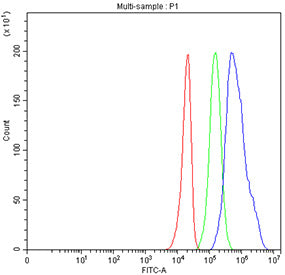 Flow cytometry testing of fixed human U-251 cells with MC2R antibody at 1ug/million cells (blocked with goat sera); Red=cells alone, Green=isotype control, Blue= MC2R antibody.