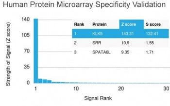 Analysis of HuProt(TM) microarray containing more than 19,000 full-length human proteins using BRCA-1 antibody (clone BRCA1/2973). These results demonstrate the foremost specificity of the BRCA1/2973 mAb. Z- and S- Score: The Z-score represents the strength of a signal that a monoclonal antibody (clone MAb) (in combination with a fluorescently-tagged anti-IgG secondary antibody) produces when binding to a particular protein on the HuProt(TM) array.