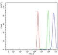 Flow cytometry testing of human MCF7 cells with BEX3 antibody at 1ug/million cells (blocked with goat sera); Red=cells alone, Green=isotype control, Blue= BEX3 antibody.