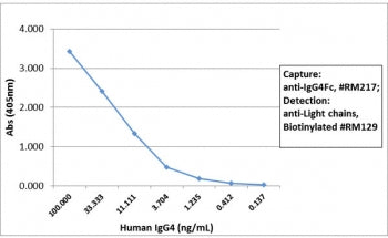 Sandwich ELISA with human IgG4 using recombinant Human IgG4 Fc antibody as the capture, and <a href=../tds/recombinant-human-ig-light-chains-antibody-rabbit-monoclonal-r20180btn>biotinylated anti-human light chains (kappa+lambda) antibody RM129</a> as the detect, followed by an AP conjugated streptavidin.