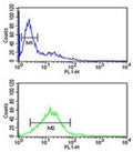Phospholamban antibody flow cytometric analysis of Jurkat cells (green) compared to a negative control (blue). FITC-conjugated goat-anti-rabbit secondary Ab was used for the analysis.