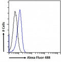 FACS testing of fixed and permeabilized human HEK293 cells with PLA2R1 antibody (blue) at 10ug/ml and naive goat Ig (black).