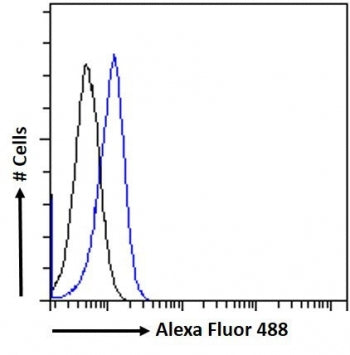 FACS testing of fixed and permeabilized human HEK293 cells with PLA2R1 antibody (blue) at 10ug/ml and naive goat Ig (black).