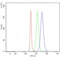 Flow cytometry testing of fixed and permeabilized human SH-SY5Y cells with TSC22D1 antibody at 1ug/million cells (blocked with goat sera); Red=cells alone, Green=isotype control, Blue= TSC22D1 antibody.