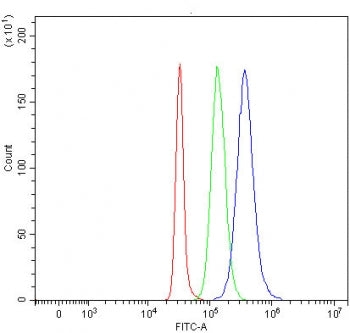 Flow cytometry testing of fixed and permeabilized human SH-SY5Y cells with TSC22D1 antibody at 1ug/million cells (blocked with goat sera); Red=cells alone, Green=isotype control, Blue= TSC22D1 antibody.