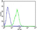 Flow cytometric analysis of HepG2 cells using Dlk1 antibody (green) compared to an isotype control of mouse IgG2b (blue); Ab was diluted at 1:25 dilution. An Alexa Fluor 488 goat anti-mouse lgG was used as the secondary Ab.