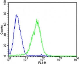Flow cytometric analysis of HepG2 cells using Dlk1 antibody (green) compared to an isotype control of mouse IgG2b (blue); Ab was diluted at 1:25 dilution. An Alexa Fluor 488 goat anti-mouse lgG was used as the secondary Ab.