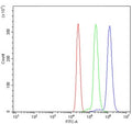 Flow cytometry testing of human U937 cells with CTSC antibody at 1ug/million cells (blocked with goat sera); Red=cells alone, Green=isotype control, Blue= CTSC antibody.